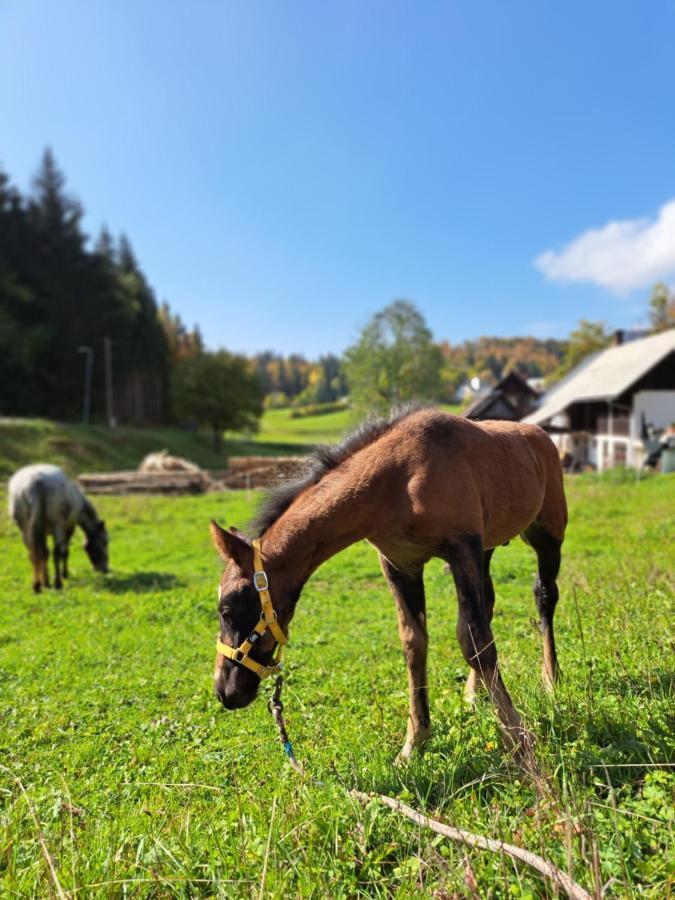 Tourist Farm Pr' Maretc Apartment Bohinjska Bistrica Ngoại thất bức ảnh